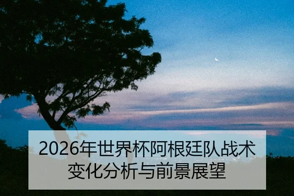 nian-shi-jie-bei-a-gen-ting-dui-zhan-shu-bian-hua-fen-xi-yu-qian-jing-zhan-wang-2-691.jpg