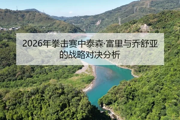 2026年拳击赛中泰森·富里与乔舒亚的战略对决分析