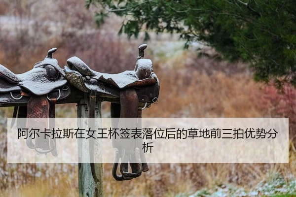 a-er-ka-la-si-zai-nv-wang-bei-qian-biao-luo-wei-hou-de-cao-di-qian-san-pai-you-shi-fen-xi-2-184.jpg