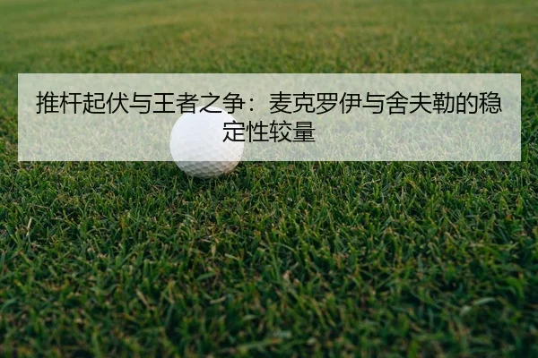 tui-gan-qi-fu-yu-wang-zhe-zhi-zheng-mai-ke-luo-yi-yu-she-fu-lei-de-wen-ding-xing-jiao-liang-2-593.jpg
