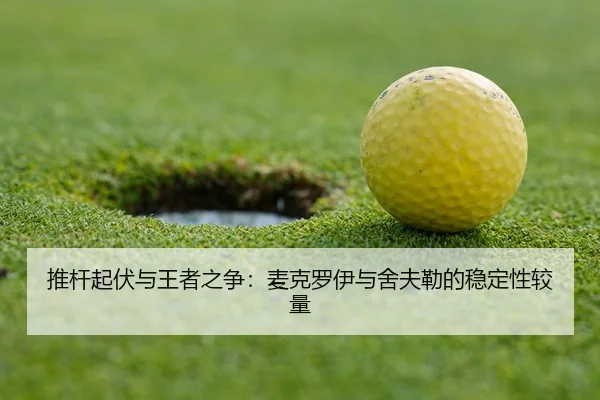 tui-gan-qi-fu-yu-wang-zhe-zhi-zheng-mai-ke-luo-yi-yu-she-fu-lei-de-wen-ding-xing-jiao-liang-3-532.jpg