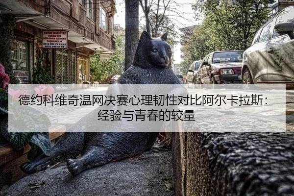 德约科维奇温网决赛心理韧性对比阿尔卡拉斯：经验与青春的较量